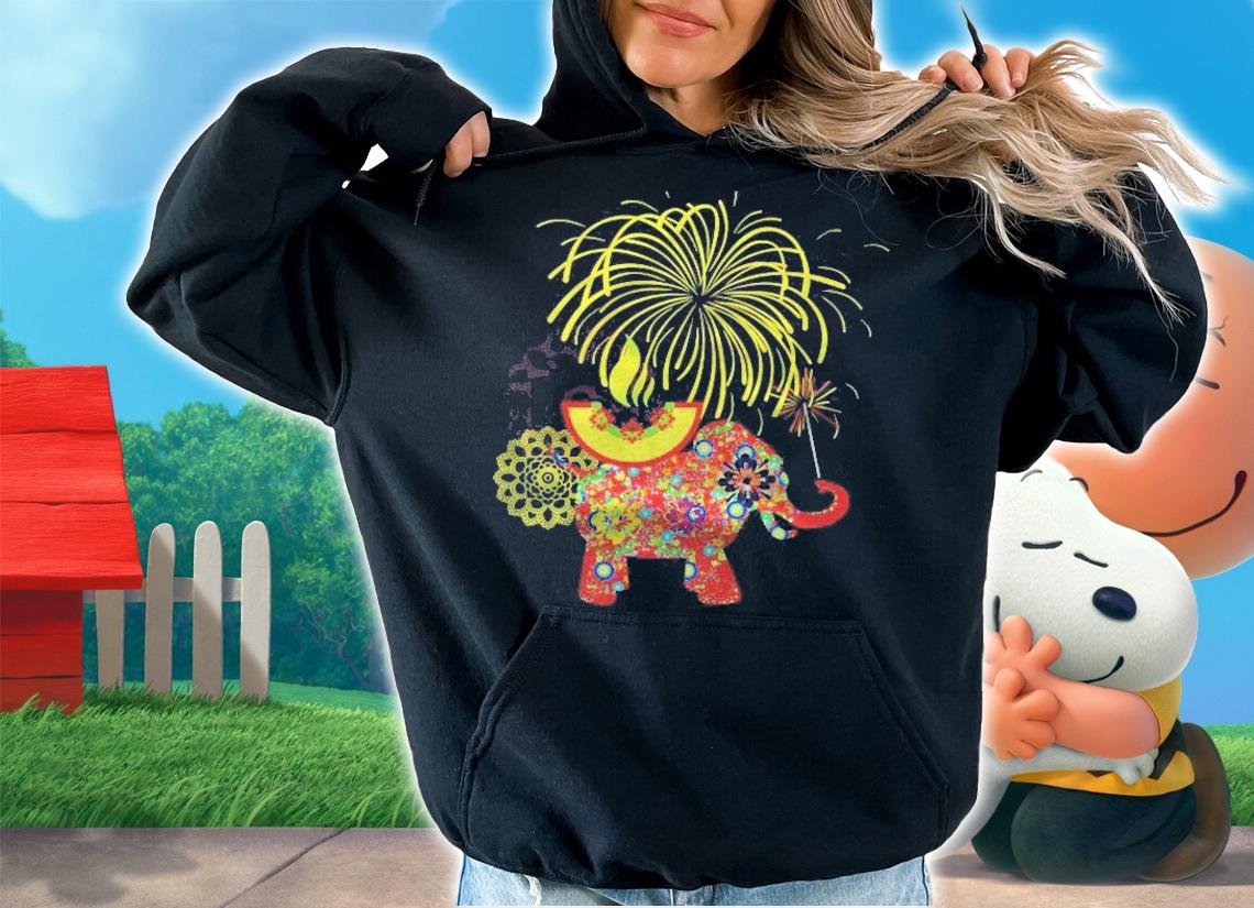 Traditional Elements Happy Diwali Hindus T-shirt t-shirt