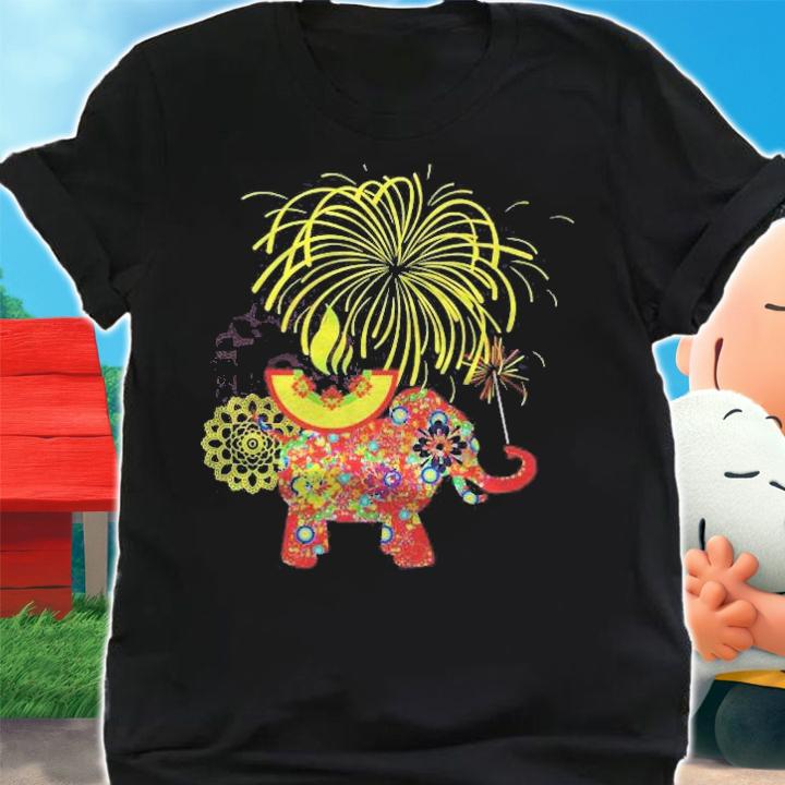 Traditional Elements Happy Diwali Hindus T-shirt t-shirt